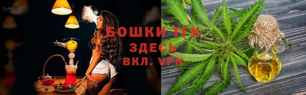 тгк Алексин