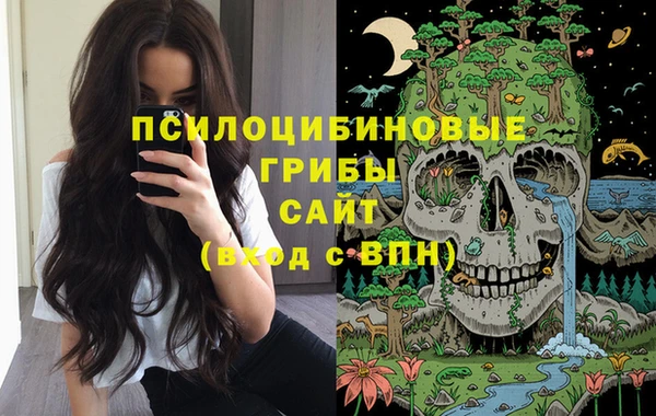 мяу мяу мука Алексеевка