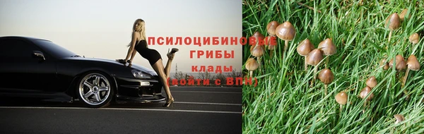 прущая мука Арсеньев